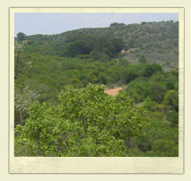 View from M2 Hiking Route
